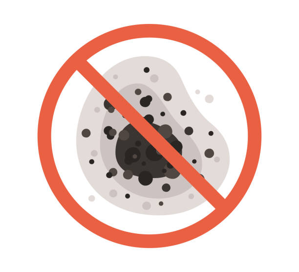 Best Mold-Related Health Consultation  in , MI