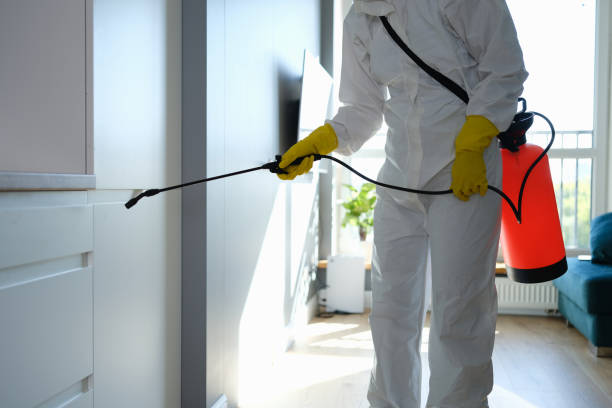 Best Mold Damage Restoration  in , MI