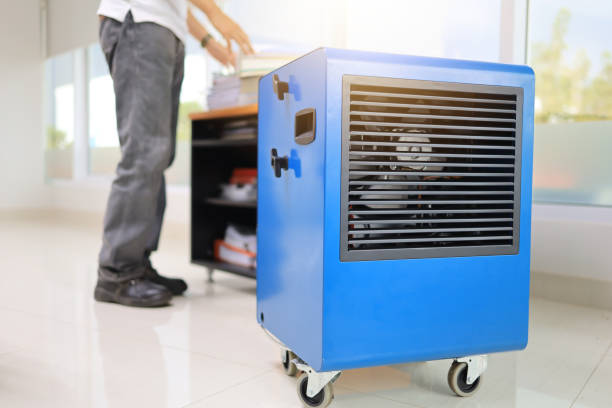 Best Mold Remediation for Healthcare Facilities  in , MI